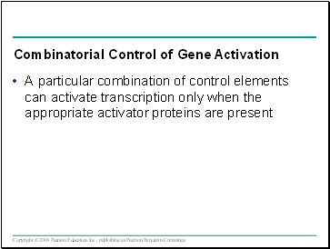 A particular combination of control elements can activate transcription only when the appropriate activator proteins are present