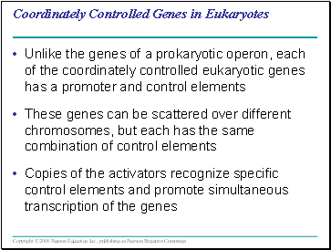 Coordinately Controlled Genes in Eukaryotes