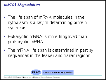 mRNA Degradation