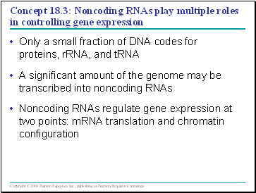 Concept 18.3: Noncoding RNAs play multiple roles in controlling gene expression