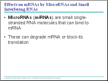 Effects on mRNAs by MicroRNAs and Small Interfering RNAs