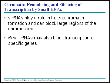 Chromatin Remodeling and Silencing of Transcription by Small RNAs
