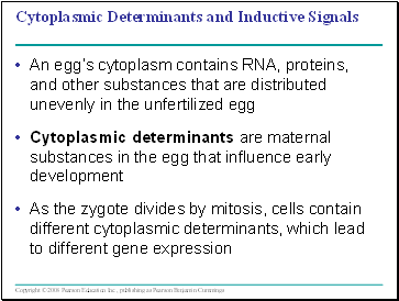 Cytoplasmic Determinants and Inductive Signals