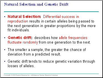 Natural Selection and Genetic Drift