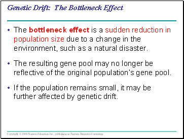 Genetic Drift: The Bottleneck Effect