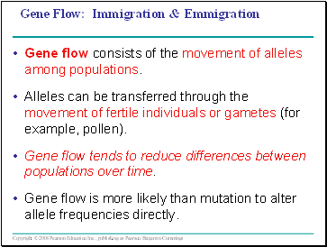 Gene Flow: Immigration & Emmigration