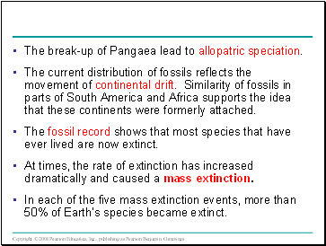 The break-up of Pangaea lead to allopatric speciation.