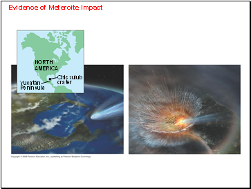 Evidence of Meteroite Impact