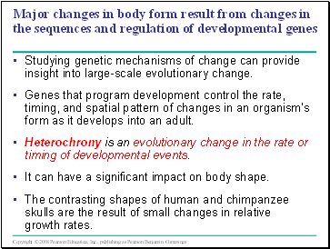 Major changes in body form result from changes in the sequences and regulation of developmental genes