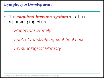 Lymphocyte Development