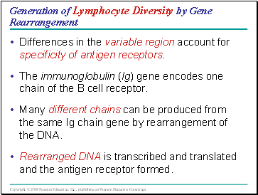 Generation of Lymphocyte Diversity by Gene Rearrangement