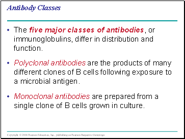 Antibody Classes