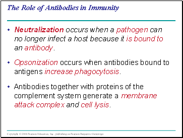 The Role of Antibodies in Immunity