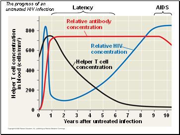 The progress of an untreated HIV infection