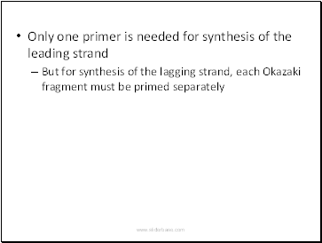 Only one primer is needed for synthesis of the leading strand