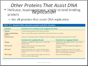 Other Proteins That Assist DNA Replication