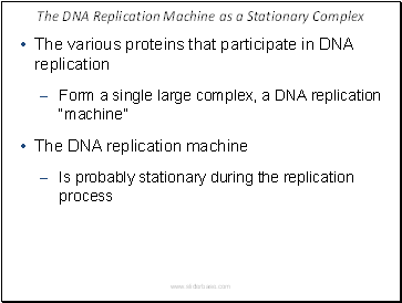 The DNA Replication Machine as a Stationary Complex