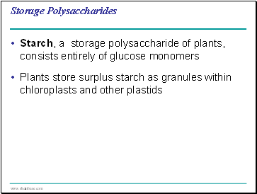 Storage Polysaccharides