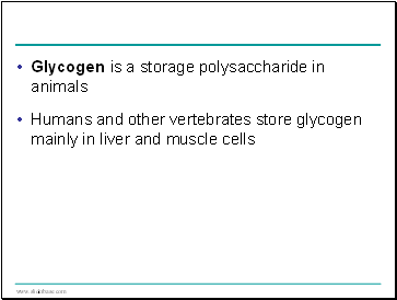 Glycogen is a storage polysaccharide in animals