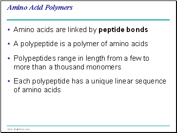 Amino Acid Polymers