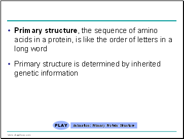 Primary structure, the sequence of amino acids in a protein, is like the order of letters in a long word