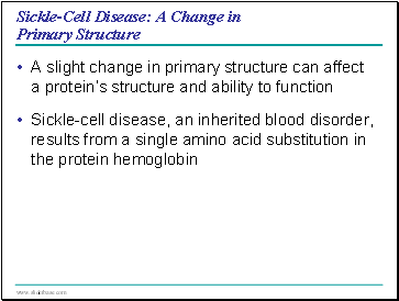 Sickle-Cell Disease: A Change in Primary Structure
