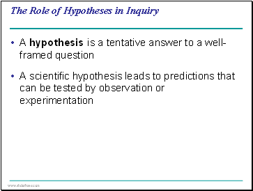 The Role of Hypotheses in Inquiry