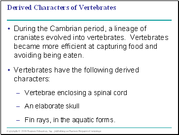 Derived Characters of Vertebrates
