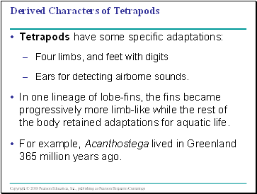 Derived Characters of Tetrapods