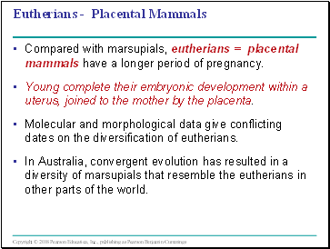 Eutherians - Placental Mammals