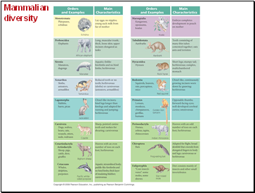 Mammalian diversity