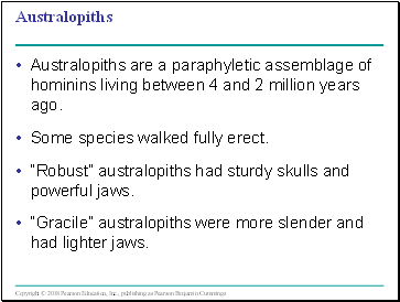 Australopiths