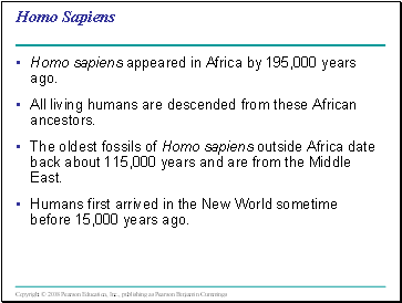 Homo Sapiens