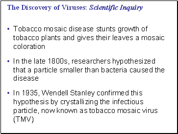 The Discovery of Viruses: Scientific Inquiry