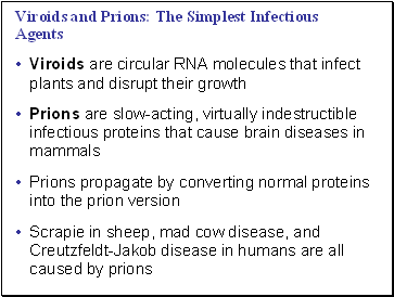Viroids and Prions: The Simplest Infectious Agents