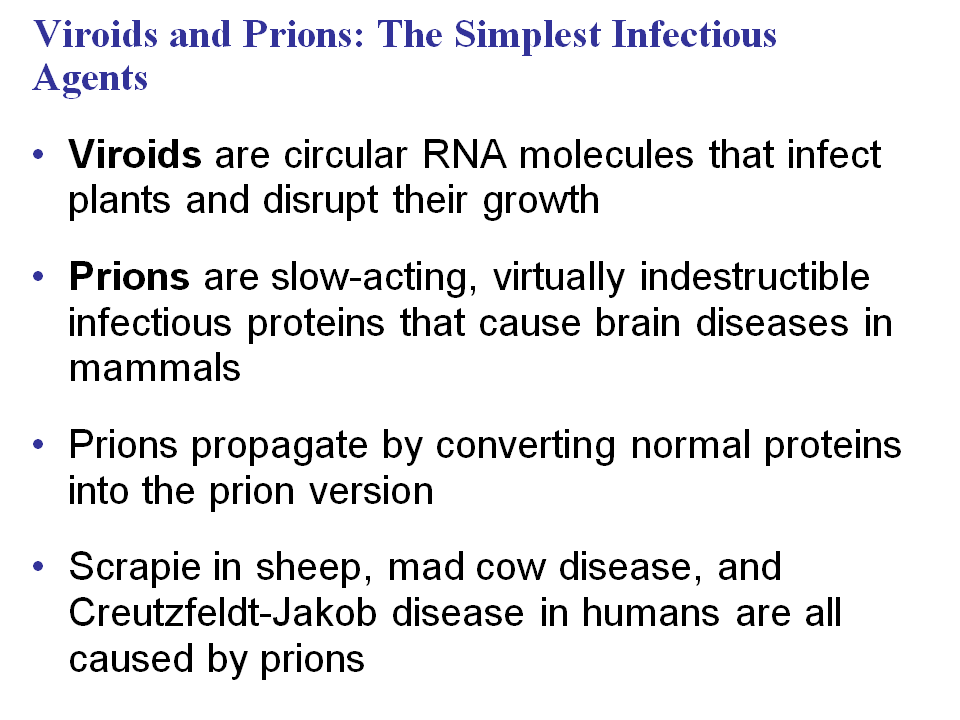 virusi viroidi i prioni