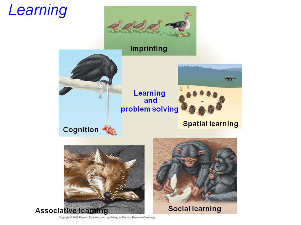 Genetically Based Behavioral Variation In Natural Populations