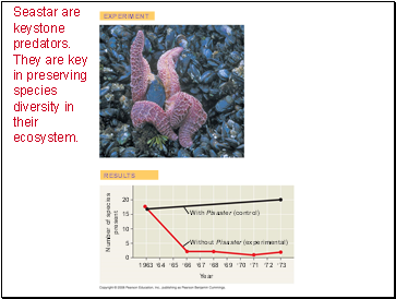 Seastar are keystone predators. They are key in preserving species diversity in their ecosystem.