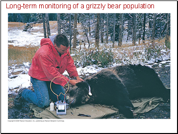 Long-term monitoring of a grizzly bear population