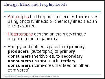 Energy, Mass, and Trophic Levels