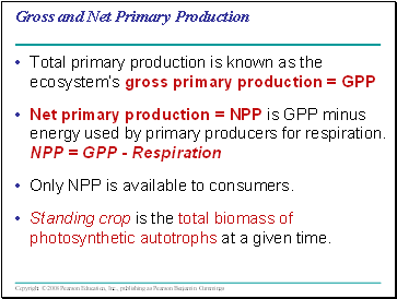 Gross and Net Primary Production