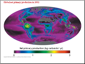 Net primary production (kg carbon/m2yr)