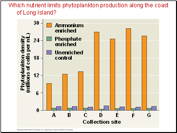 Which nutrient limits phytoplankton production along the coast of Long Island?