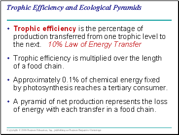 Trophic Efficiency and Ecological Pyramids