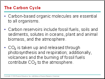 The Carbon Cycle