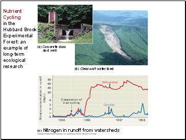 Nutrient Cycling in the Hubbard Brook Experimental Forest: an example of long-term ecological research