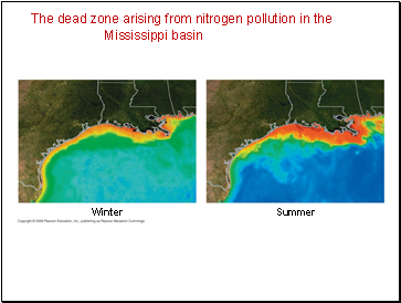 The dead zone arising from nitrogen pollution in the Mississippi basin