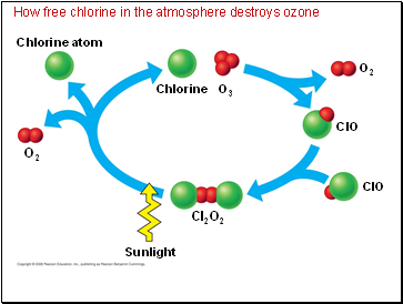 How free chlorine in the atmosphere destroys ozone
