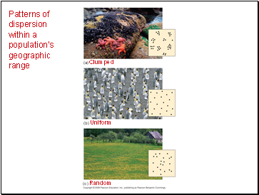 Patterns of dispersion within a populations geographic range
