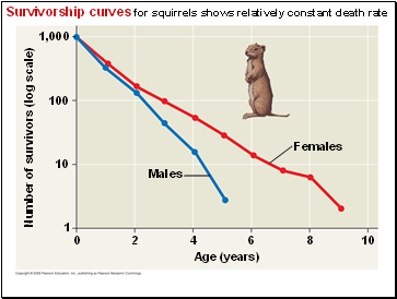 Survivorship curves for squirrels shows relatively constant death rate